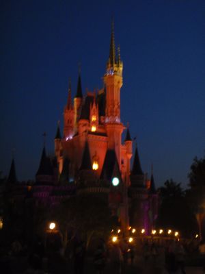111007TDR-night castle.jpg